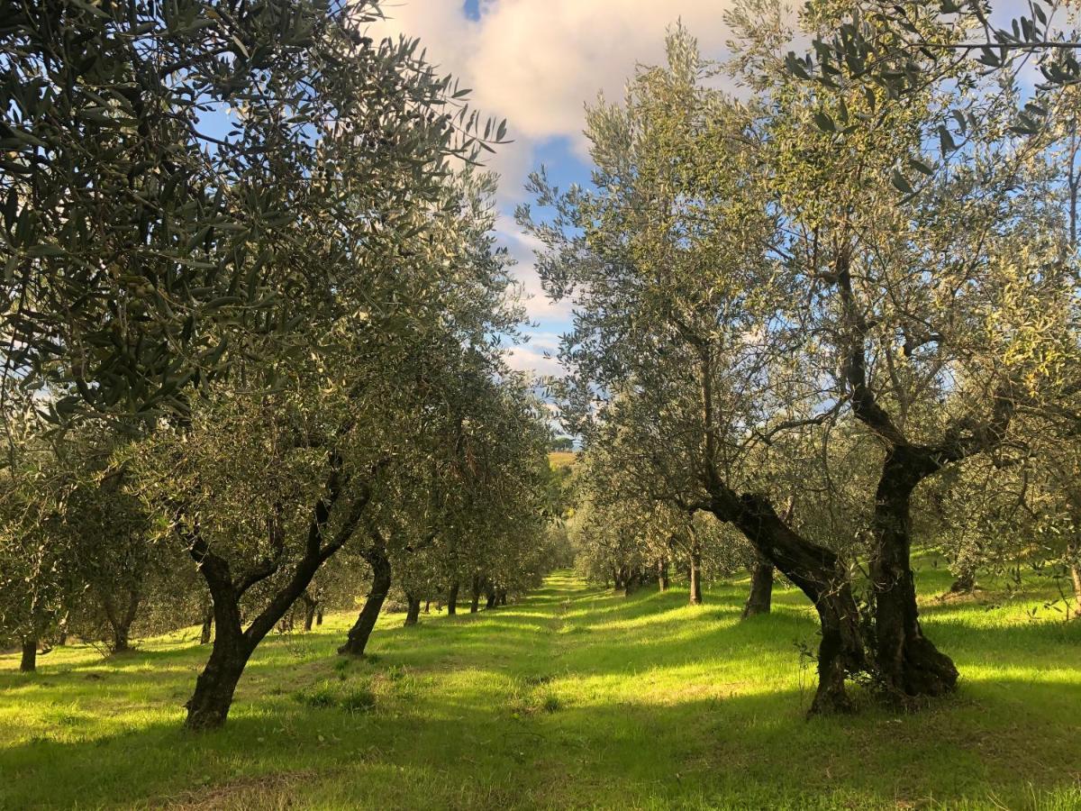 Podere Casato Montespertoli Buitenkant foto