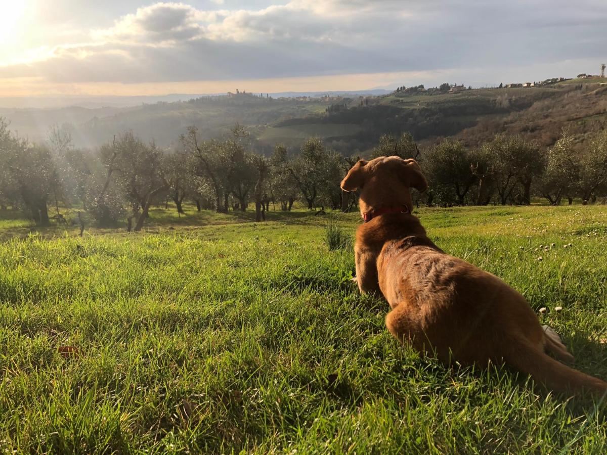 Podere Casato Montespertoli Buitenkant foto