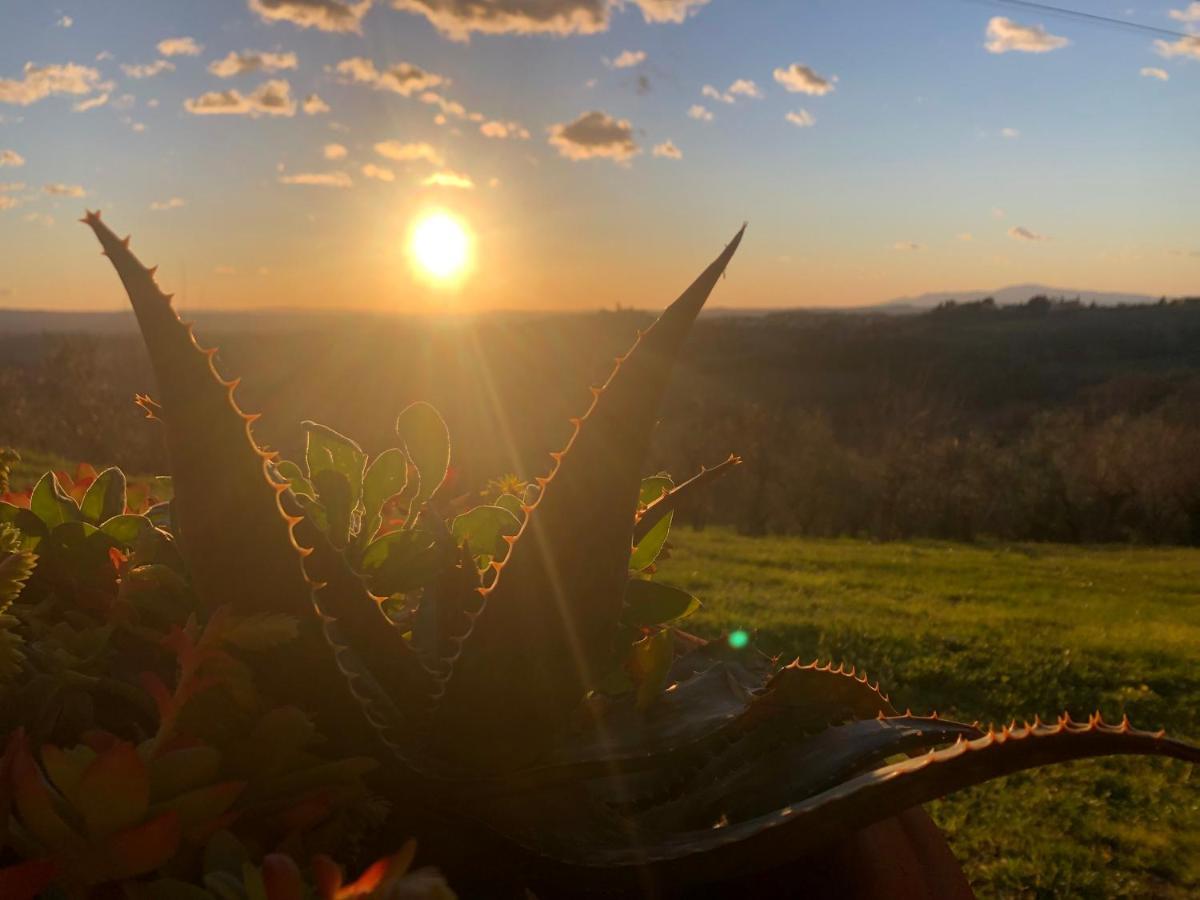 Podere Casato Montespertoli Buitenkant foto