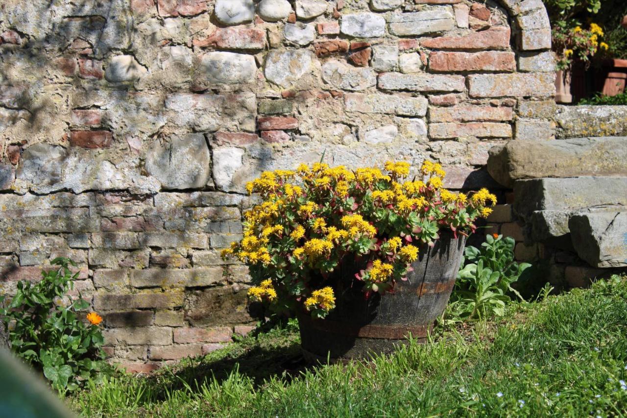 Podere Casato Montespertoli Buitenkant foto